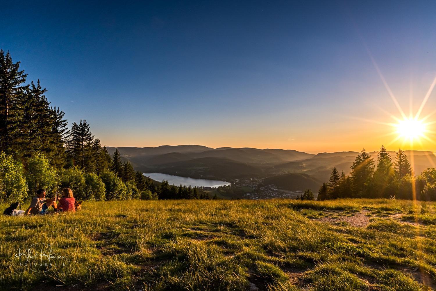 Apartment 13 - Ferienresidenz Roseneck, Mit Schwimmbad In Todtnauberg Bei Feldberg Buitenkant foto