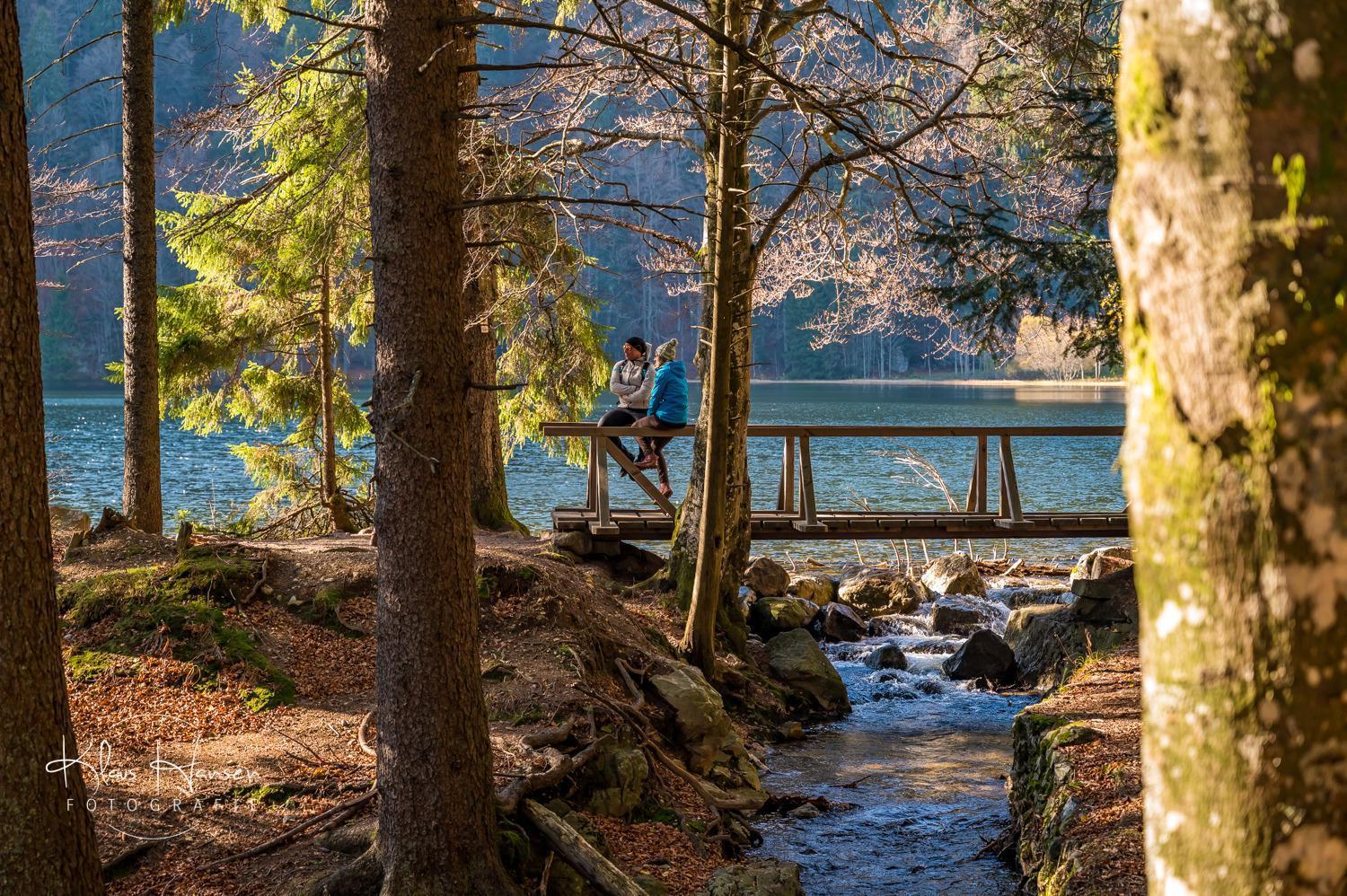 Apartment 13 - Ferienresidenz Roseneck, Mit Schwimmbad In Todtnauberg Bei Feldberg Buitenkant foto