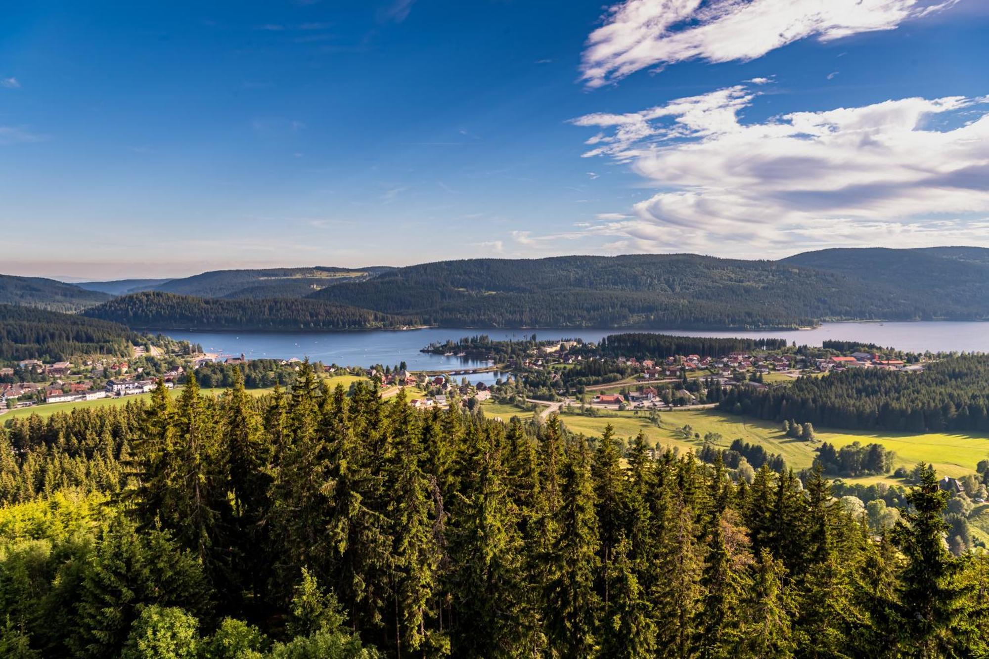 Apartment 13 - Ferienresidenz Roseneck, Mit Schwimmbad In Todtnauberg Bei Feldberg Buitenkant foto