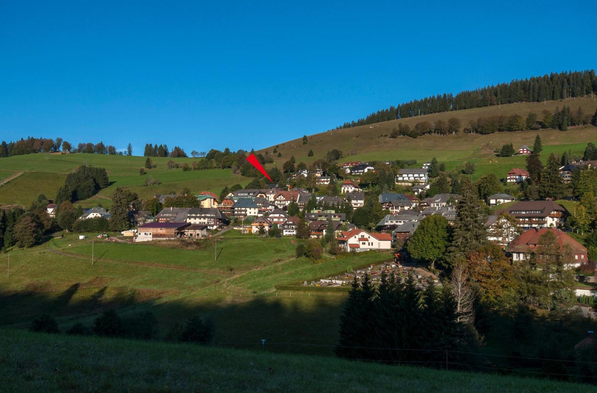 Apartment 13 - Ferienresidenz Roseneck, Mit Schwimmbad In Todtnauberg Bei Feldberg Buitenkant foto